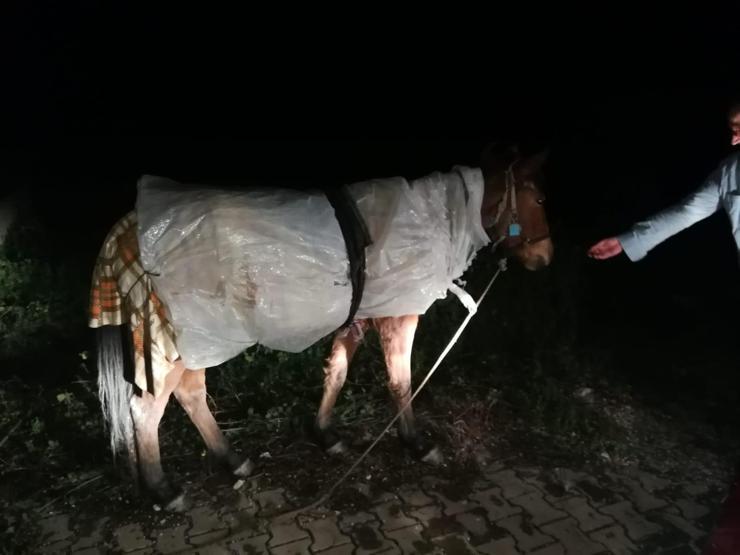 Atı donmasın diye naylonla sardılar
