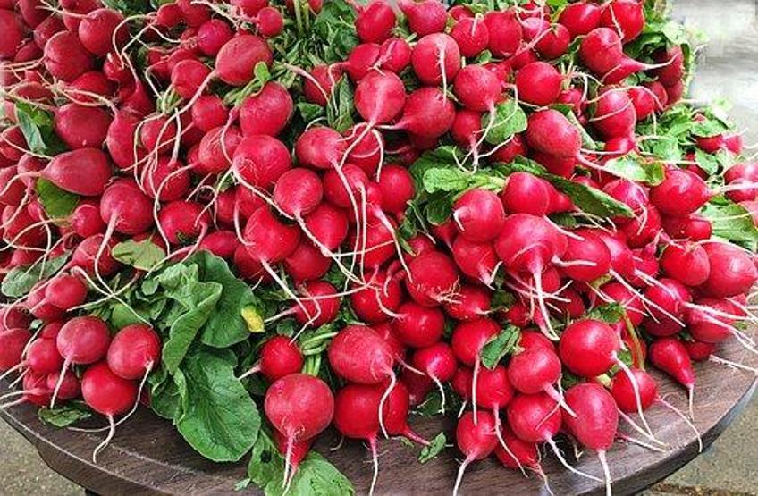 Detoks etkili beş kış besini
