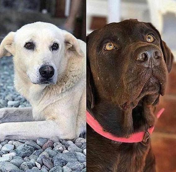 Eşimin çığlıklarını duydum...