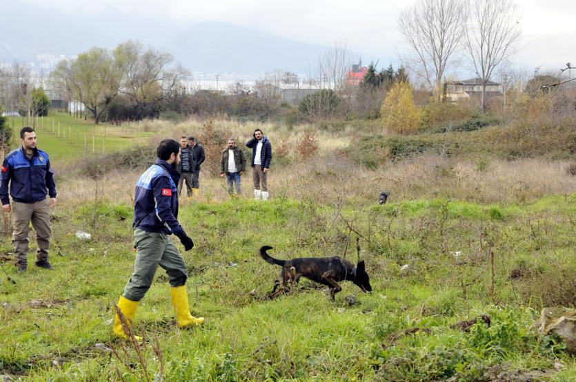 Son dakika: Palu ailesine canlı yayında gözaltı