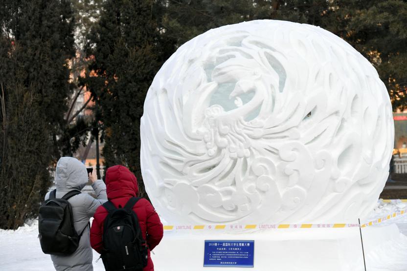 Çinde Harbin Uluslararası Buz Festivali başladı