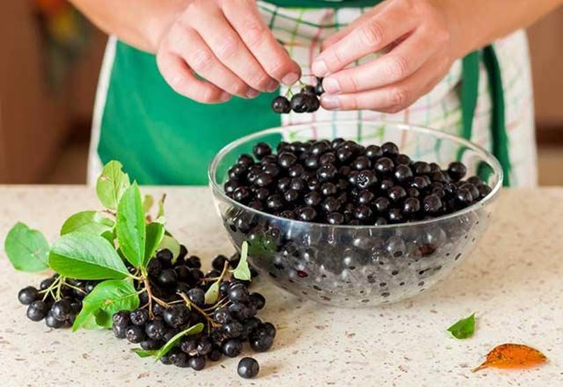 Aronia meyvesinin bilinmeyen faydaları