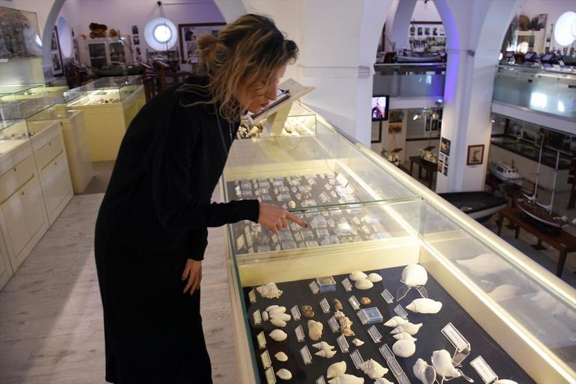 İş adamı bağışlamıştı, 460 milyon yıllık fosil çıktı