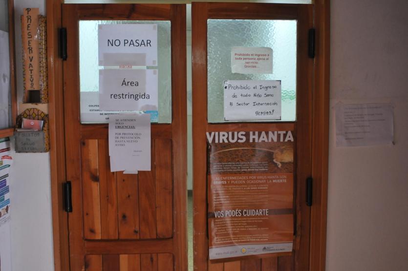 Arjantinde hantavirüsten ölenlerin sayısı artıyor
