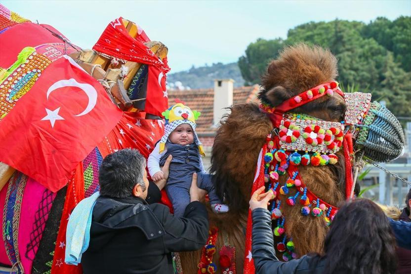 İzmirde deve güreşlerine büyük ilgi