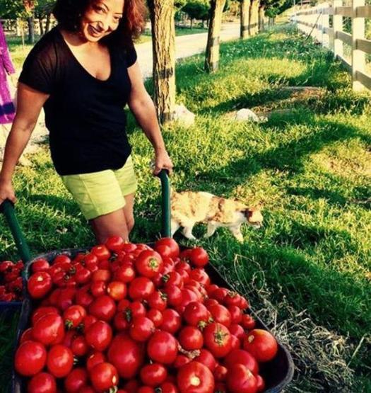 Çobanlık yaptık, sebze yetiştirdik