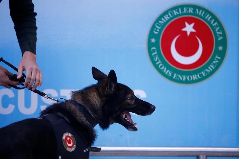 Ondan daha iyisi yok... Kaçakçıların korkulu rüyası, turistlerin gözdesi: Maddox