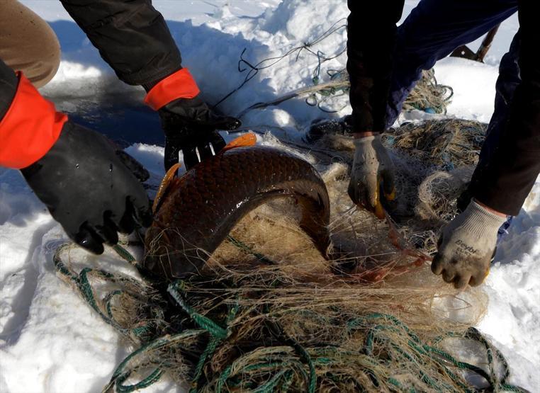 Eskimo usulü avcılıkta sezonun en büyük balığını yakaladı