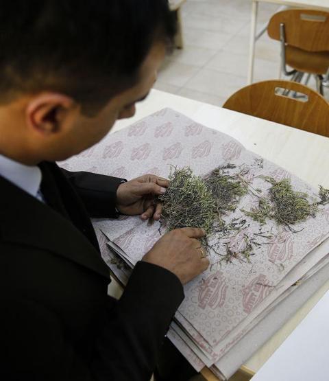Keşfedilen bitkiye Aziz Sancarın adı verildi