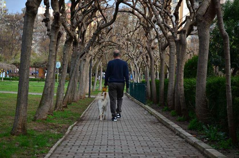 Bobby görme engelli gazinin hayatını değiştirdi