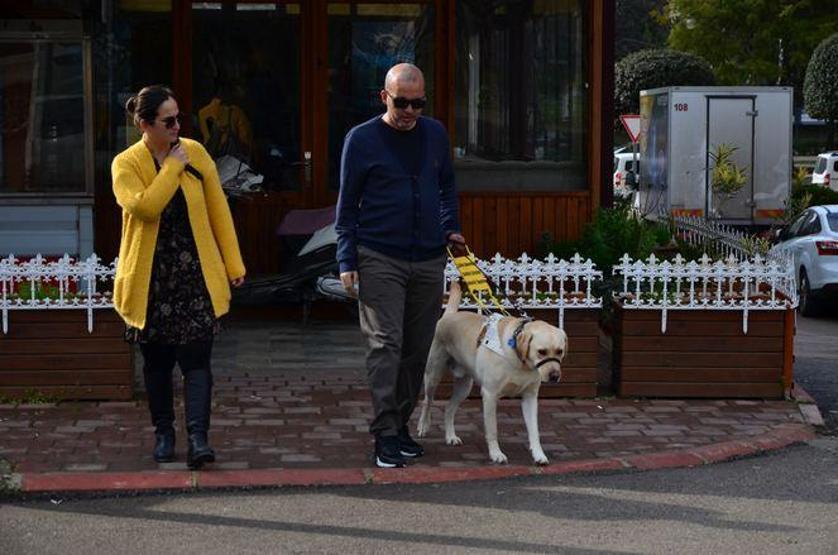 Bobby görme engelli gazinin hayatını değiştirdi