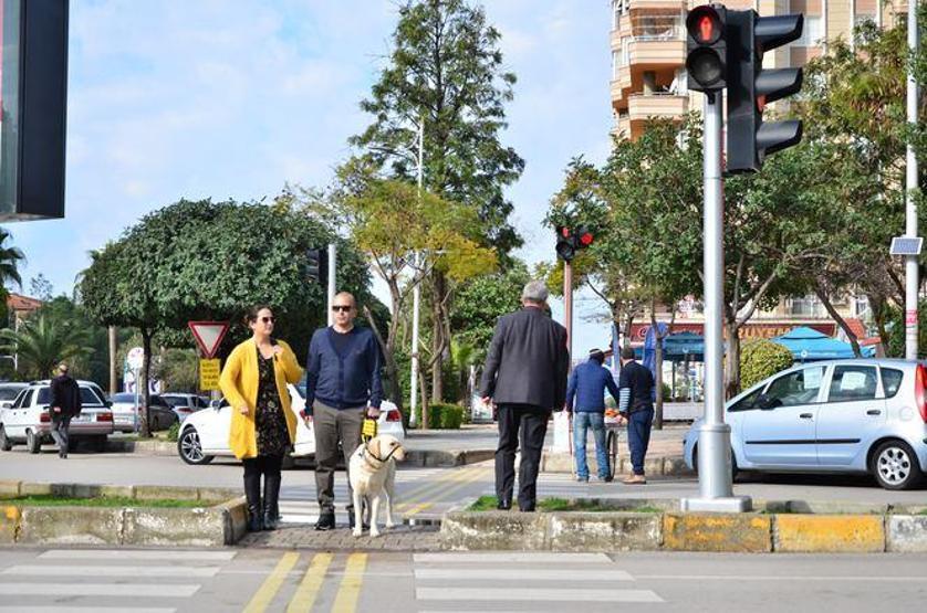 Bobby görme engelli gazinin hayatını değiştirdi
