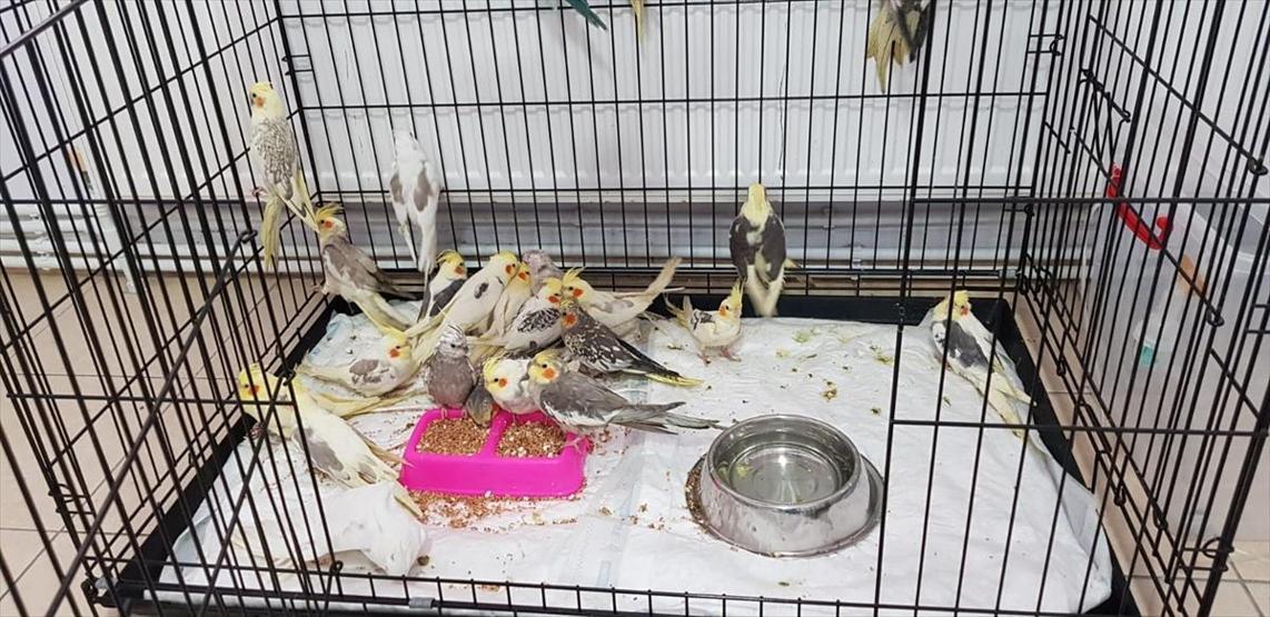 Hareket edip ses çıkarmasınlar diye bunu yaptılar