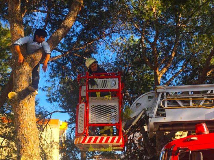 Topunu almak için ağaca çıktı, itfaiye kurtardı