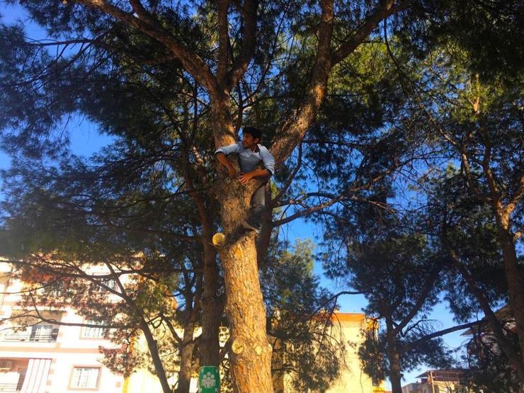 Topunu almak için ağaca çıktı, itfaiye kurtardı