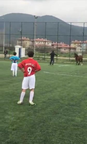Futbol turnuvasında sahaya at girdi