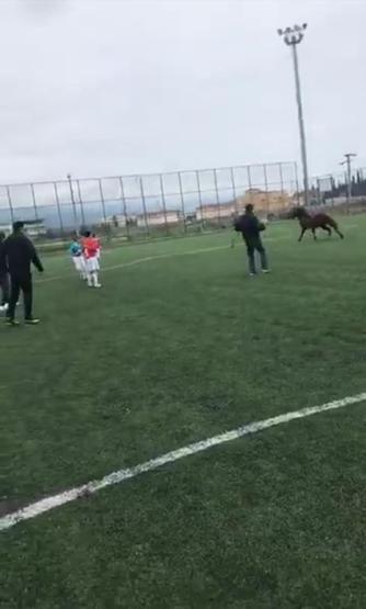 Futbol turnuvasında sahaya at girdi