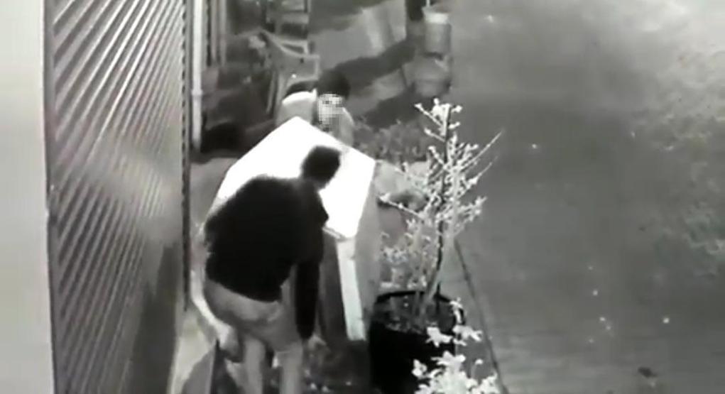Köpeği uyandırıp, kulübesini çaldılar