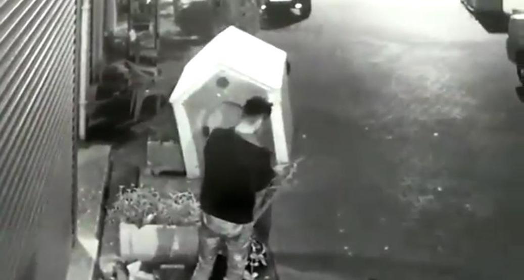 Köpeği uyandırıp, kulübesini çaldılar