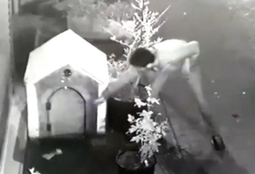 Köpeği uyandırıp, kulübesini çaldılar