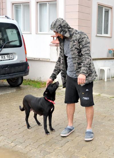 Vicdansız kadının dövdüğü köpek sütten kesildi, 8 yavru hayatını kaybetti