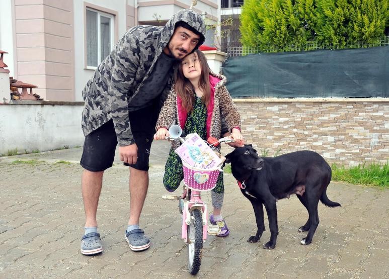 Vicdansız kadının dövdüğü köpek sütten kesildi, 8 yavru hayatını kaybetti