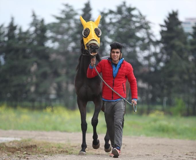 Şampiyon yarış atına alıcı çıkmadı