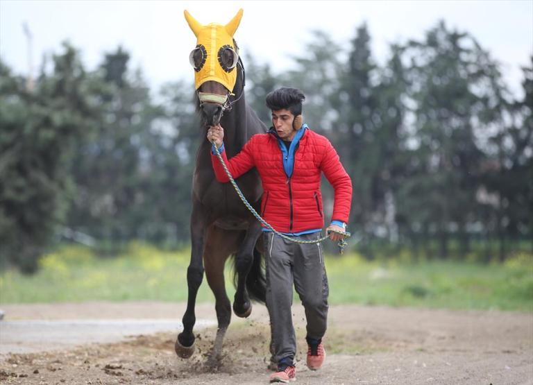 Şampiyon yarış atına alıcı çıkmadı