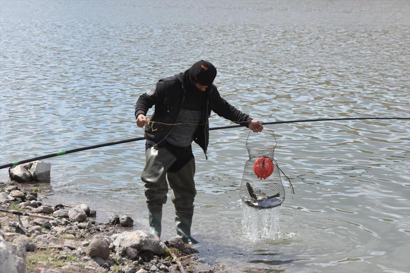 Kafesten kaçan balıklar amatör balıkçıları sevindirdi
