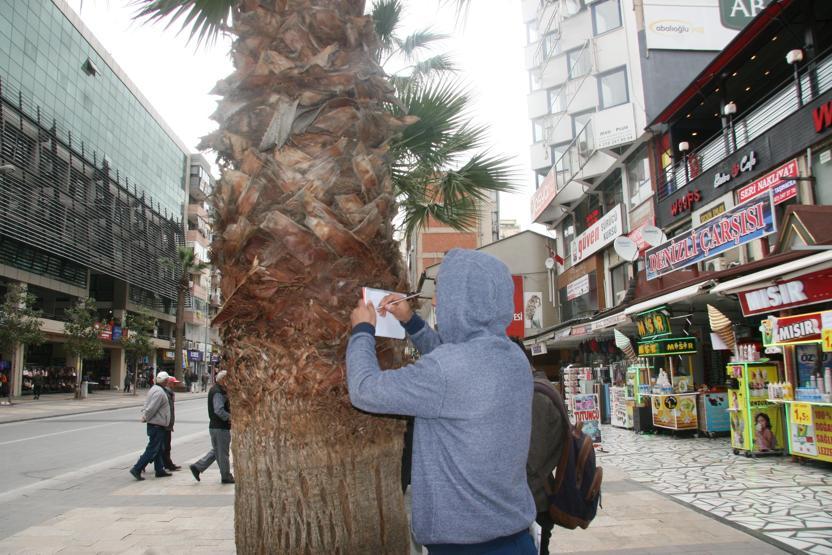 Dikkat çeken görüntü... Hepsi aynı yöne bakıp çizmeye başladı