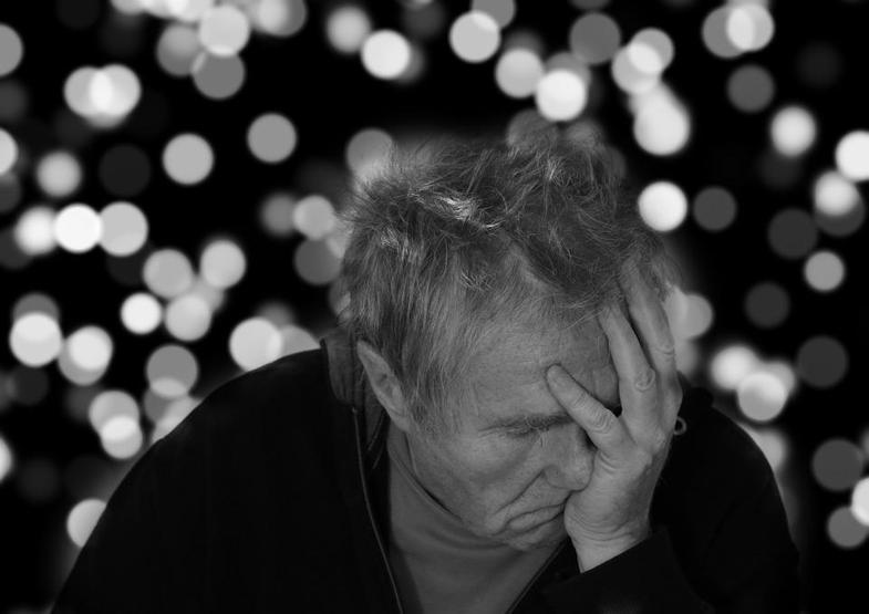 Türk bilimadamı ve ekibinin umut veren araştırması: Alzheimerın çaresi zebrada