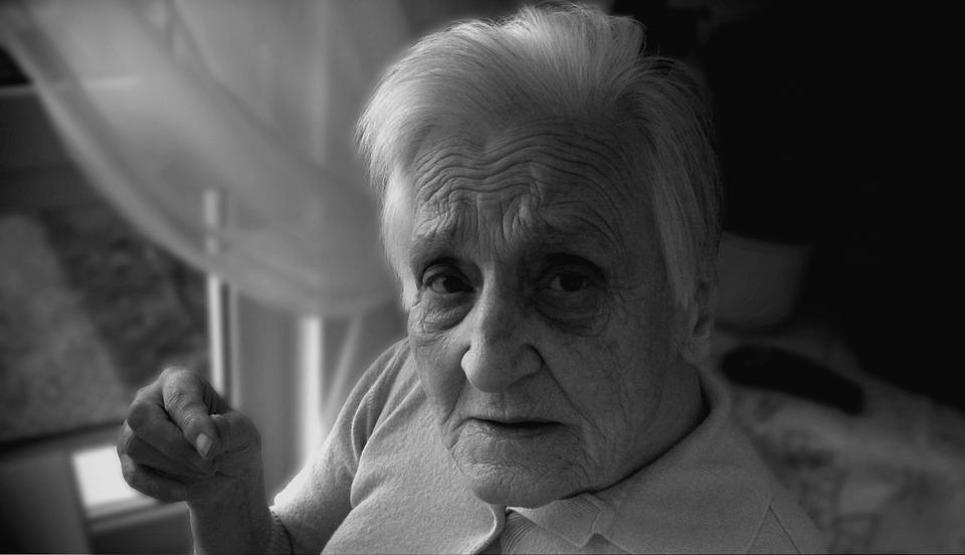 Türk bilimadamı ve ekibinin umut veren araştırması: Alzheimerın çaresi zebrada