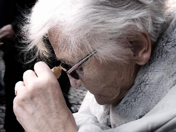 Türk bilimadamı ve ekibinin umut veren araştırması: Alzheimerın çaresi zebrada