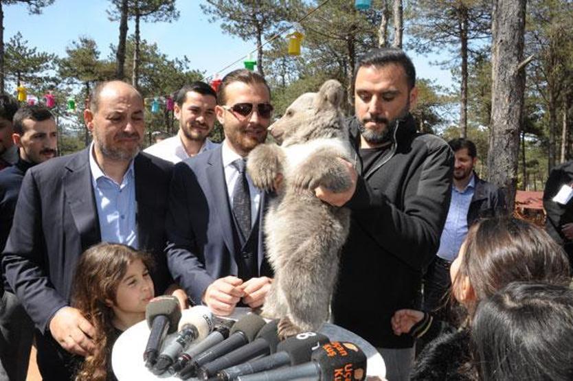 Yavru ayı besledi