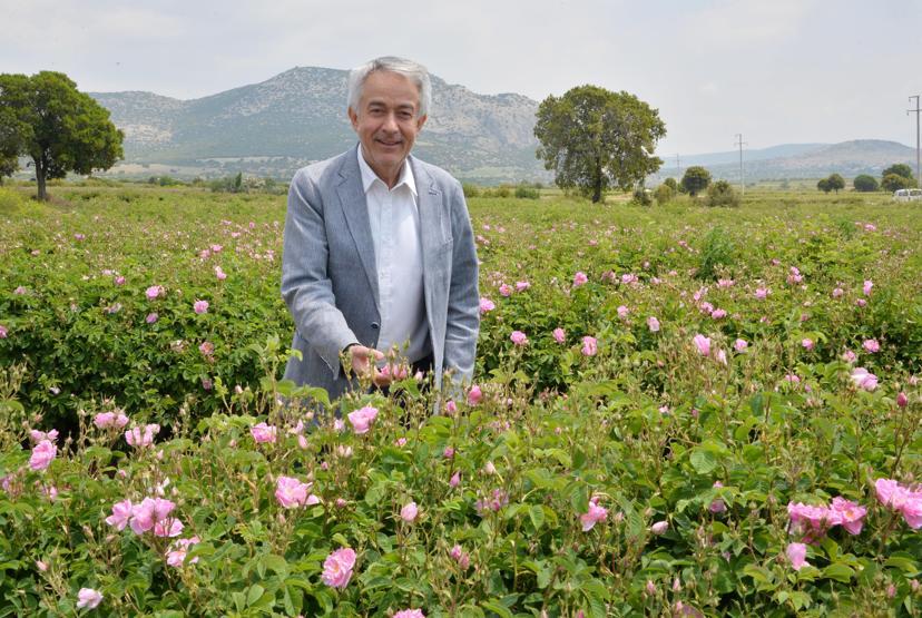 Ispartada güller açtı