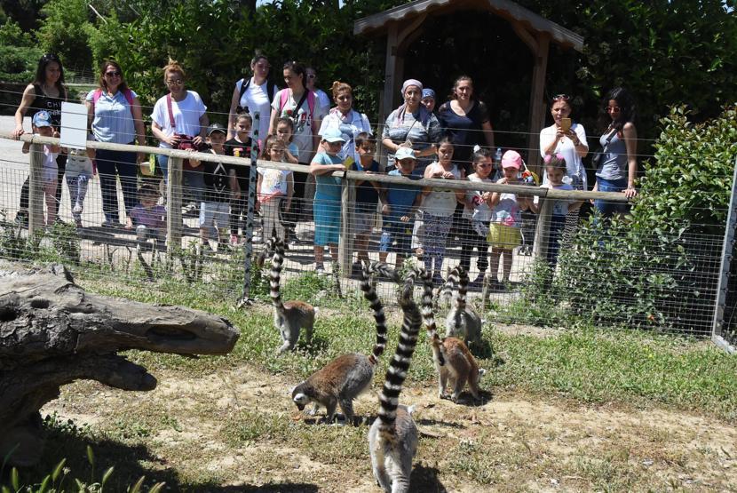 Doğal Yaşam Parkının sevimli yeni üyesi ilgi odağı oldu