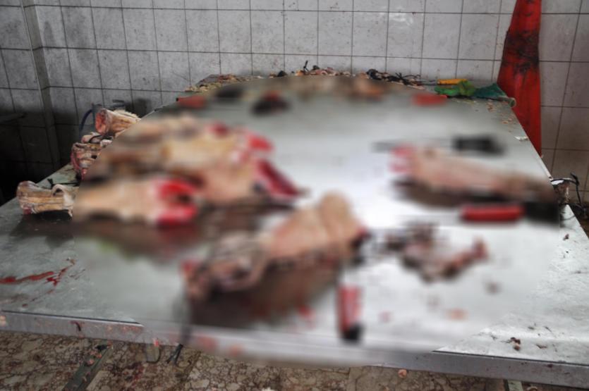 Kaçak sakatat işlenen tesise, zabıtalar kokudan girmekte zorlandı