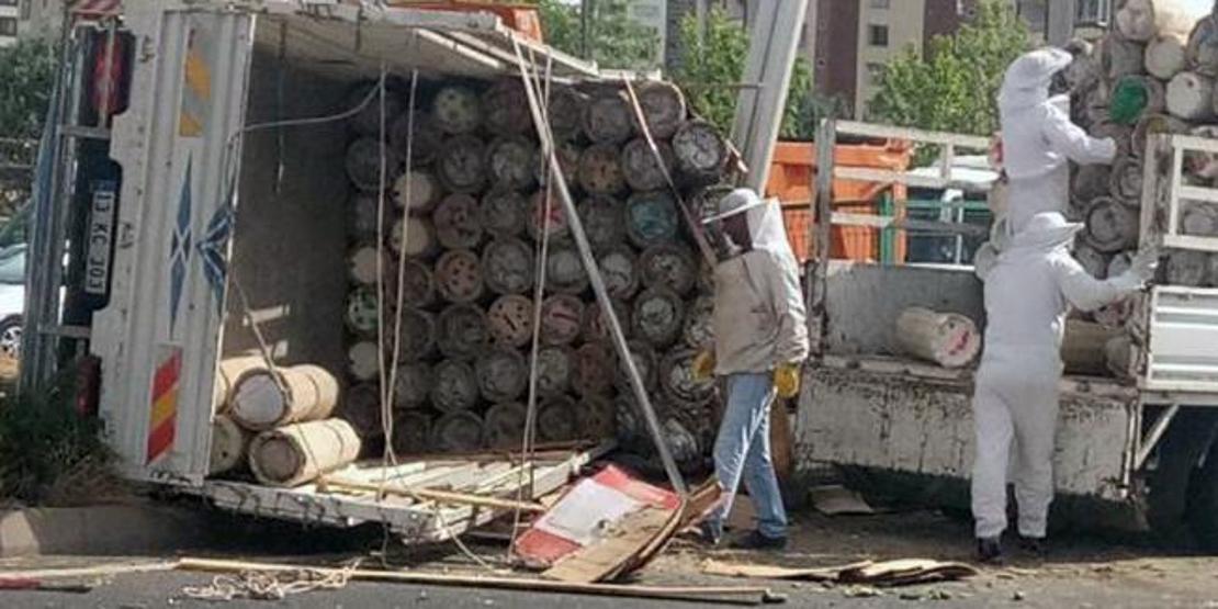 Arı kovanı yüklü kamyonet devrildi