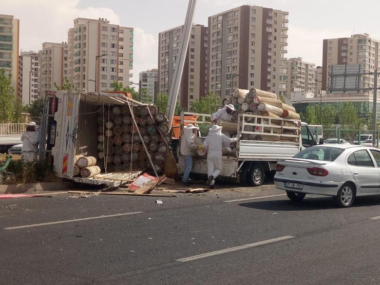 Arı kovanı yüklü kamyonet devrildi