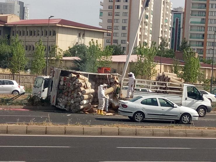 Arı kovanı yüklü kamyonet devrildi