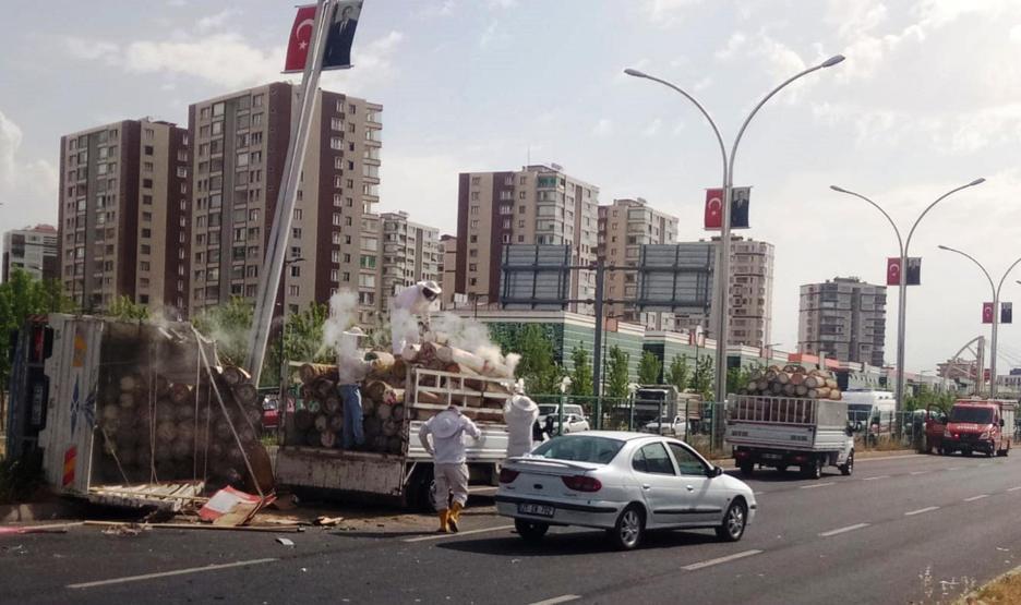 Arı kovanı yüklü kamyonet devrildi