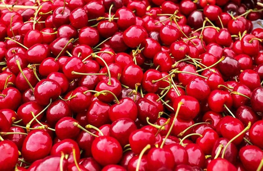İşte zayıflatan tek besin Bilimsel olarak kanıtlandı