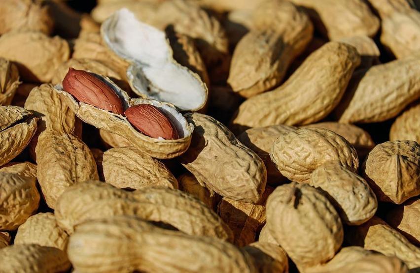 İşte zayıflatan tek besin Bilimsel olarak kanıtlandı