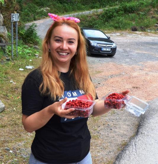 Günde bir kilo toplanabiliyor, taleplere yetişilemiyor