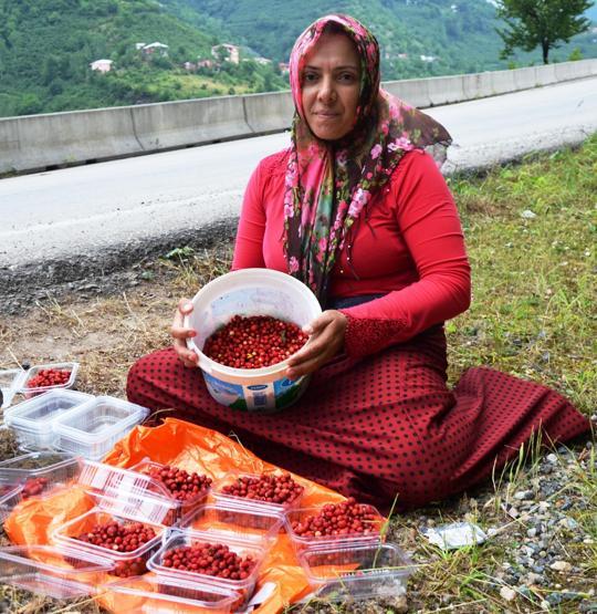 Günde bir kilo toplanabiliyor, taleplere yetişilemiyor