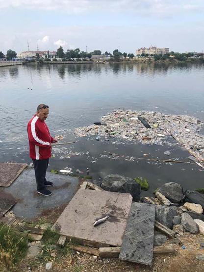 İstanbulda tedirgin eden balık ölümleri