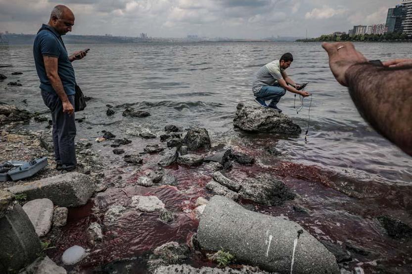 İstanbulda tedirgin eden balık ölümleri
