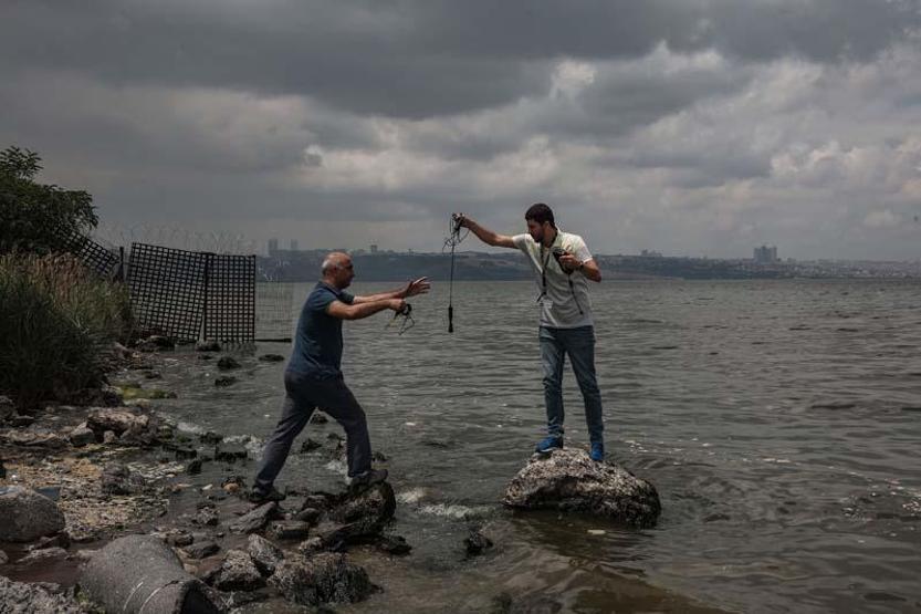 İstanbulda tedirgin eden balık ölümleri