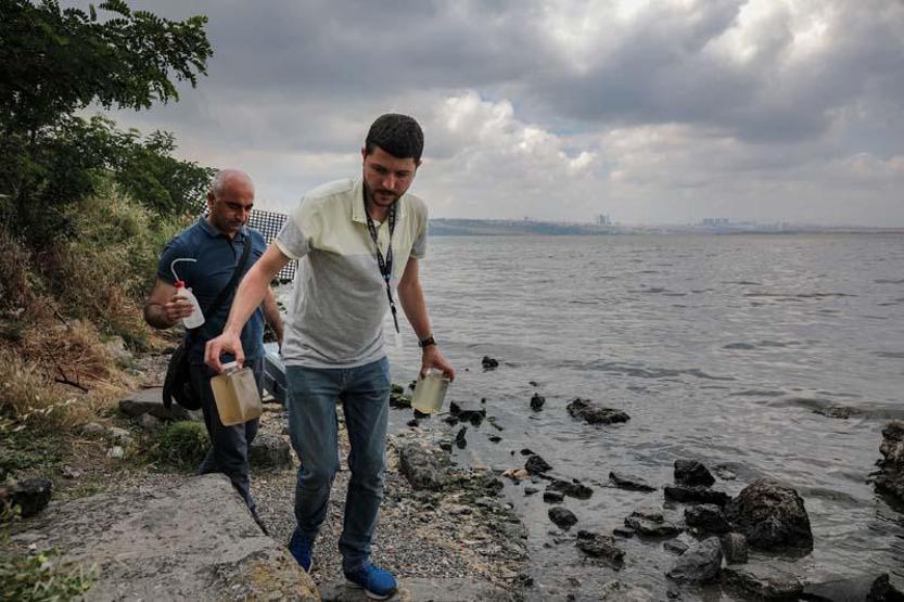 İstanbulda tedirgin eden balık ölümleri