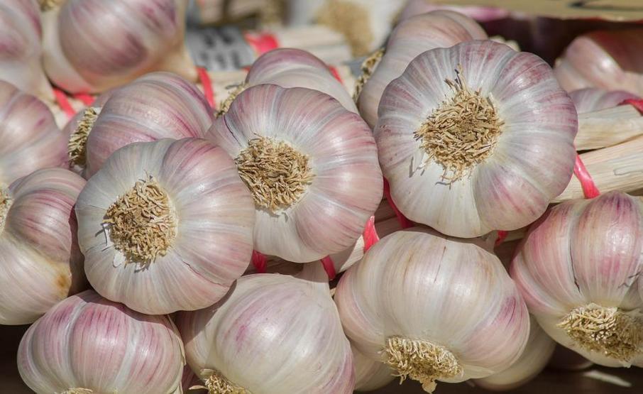 Sarımsak kabuğunu sakın çöpe atmayın Bakın ne işe yarıyor